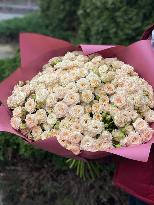 101 Spray Roses (Variety Tanja)
