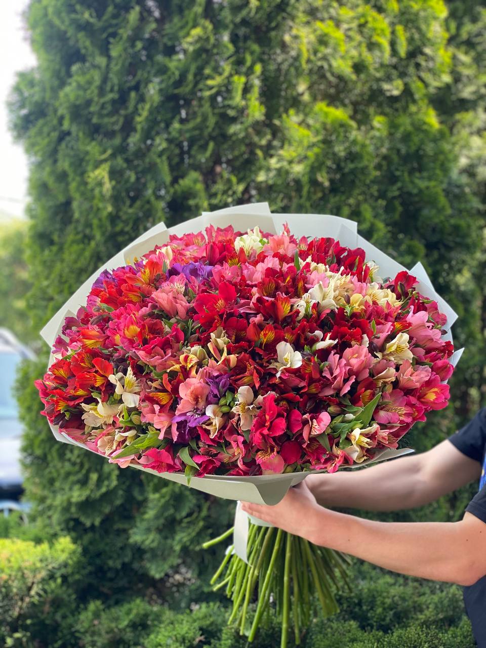 Bouquet of 101 Alstroemerias