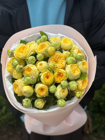 19 branched peony-like roses, Peony Bubbles variety