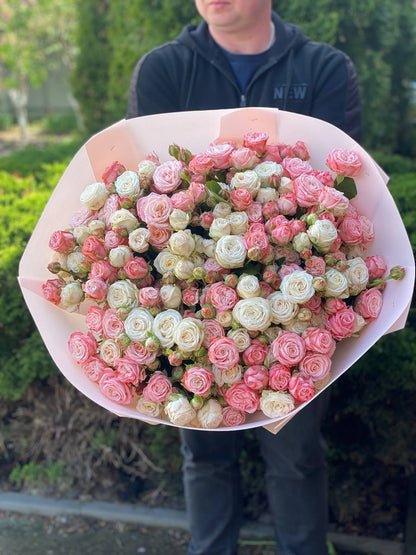 101 Peony-Shaped Roses (Miss Bombastic, Bombastic Varieties)