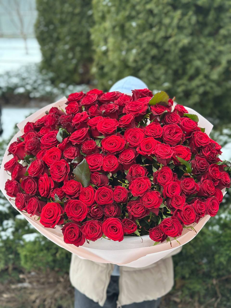 101 Roses Variety Prestige