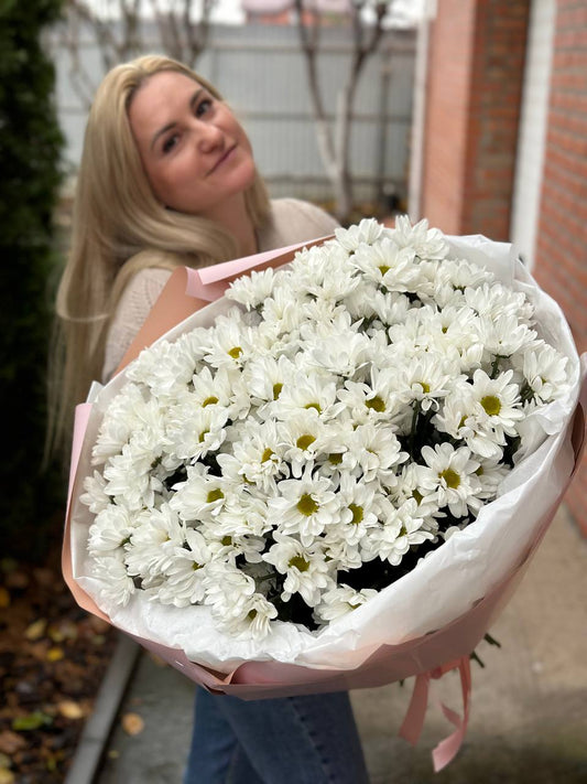 NEW PACKAGING 19 spray chrysanthemums (variety White daisy-like)

