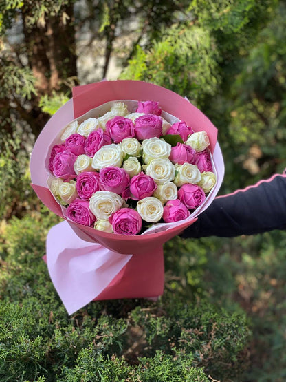 39 Roses Varieties Miss Bombastic and Lavender Lace