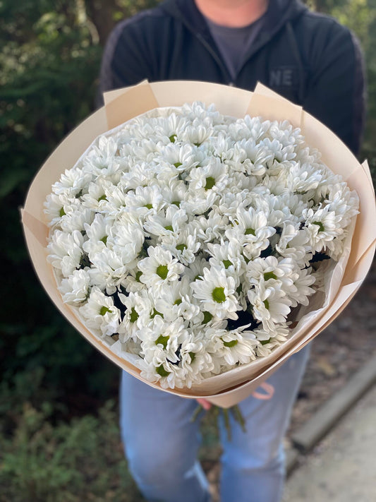 15 daisy-like chrysanthemums (color White)