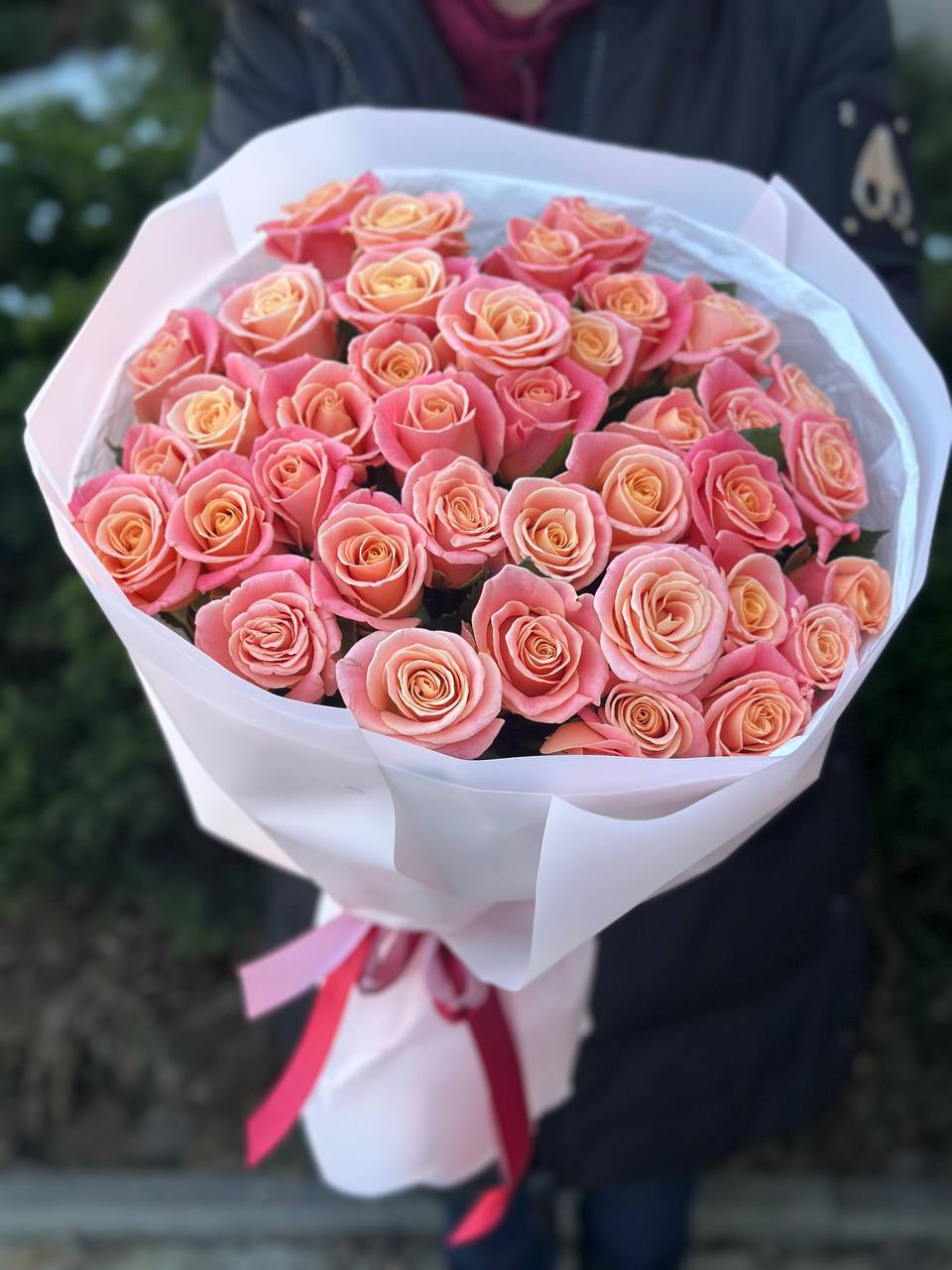 39 Roses Variety Miss Piggy
