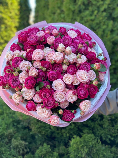51 peony-shaped roses of the Bombastic and Majestic varieties