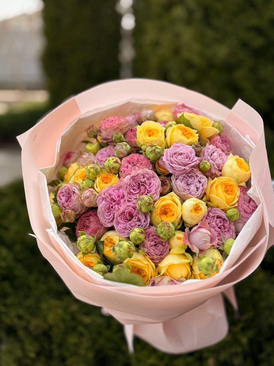 39 Roses Varieties Lavender and Peony