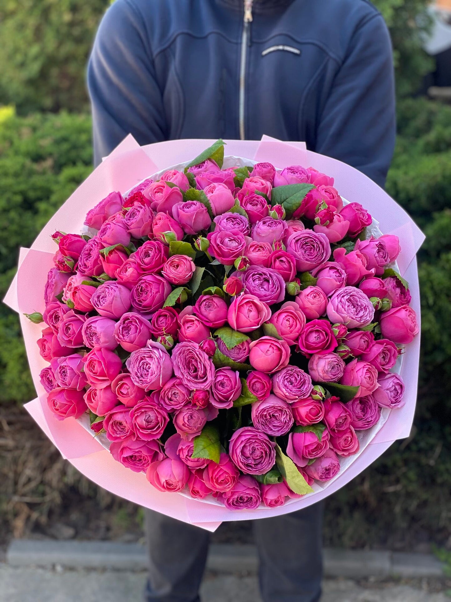 101 Peony Roses (Variety Light and Lavender Lace)