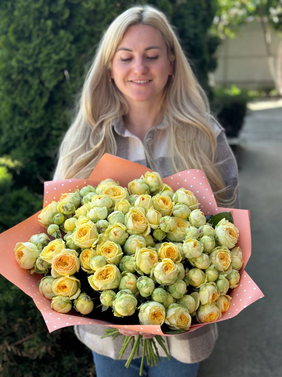 39 peony-like branch roses, variety Peony