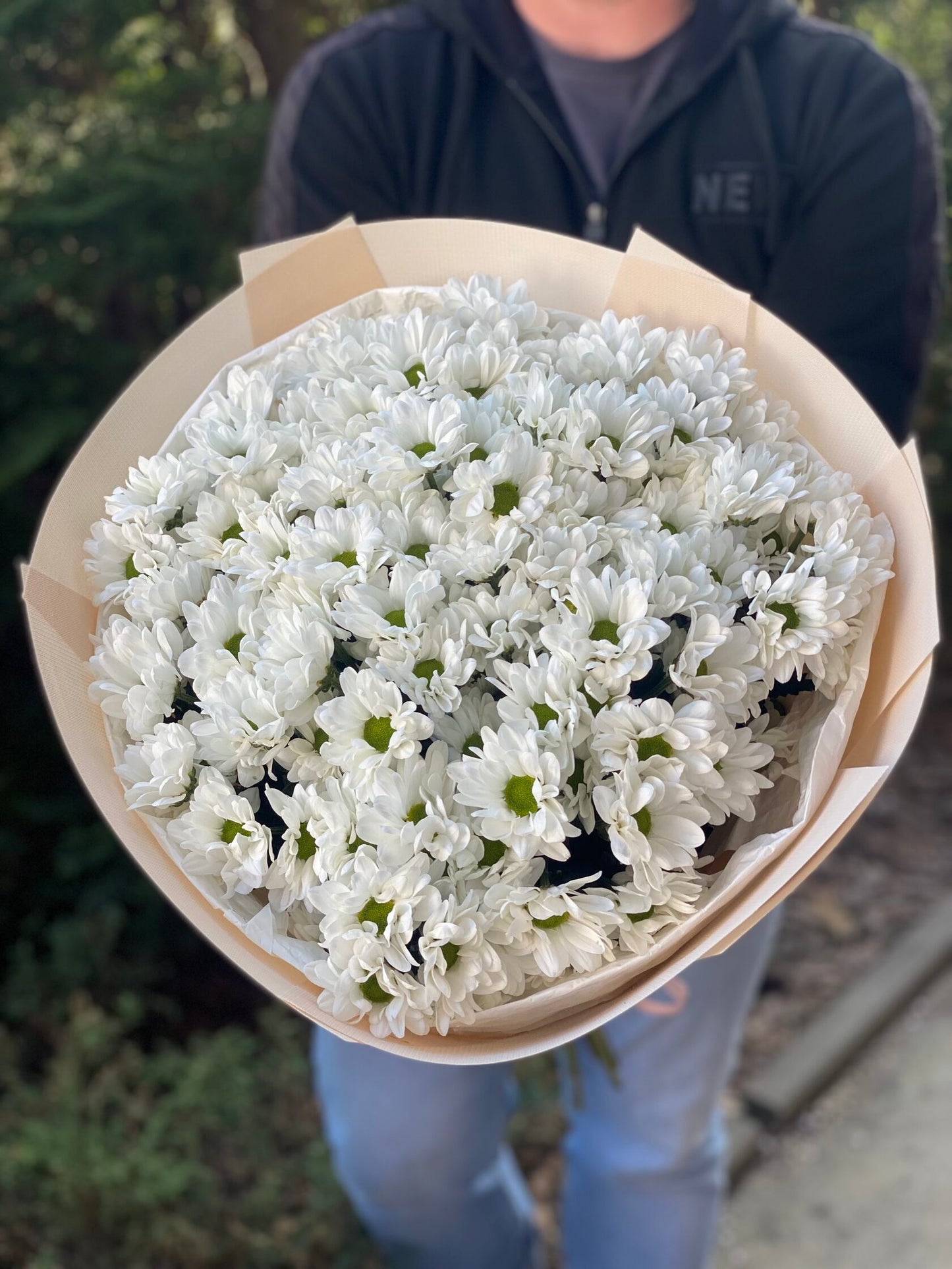 15 daisy-like chrysanthemums (color White)