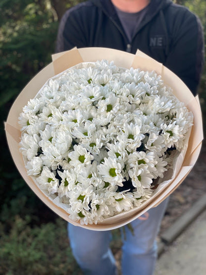15 daisy-like chrysanthemums (color White)