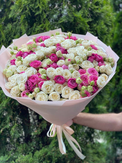 101 Peony-Shaped Roses (Miss Bombastic &amp; Lavender Lace Varieties)