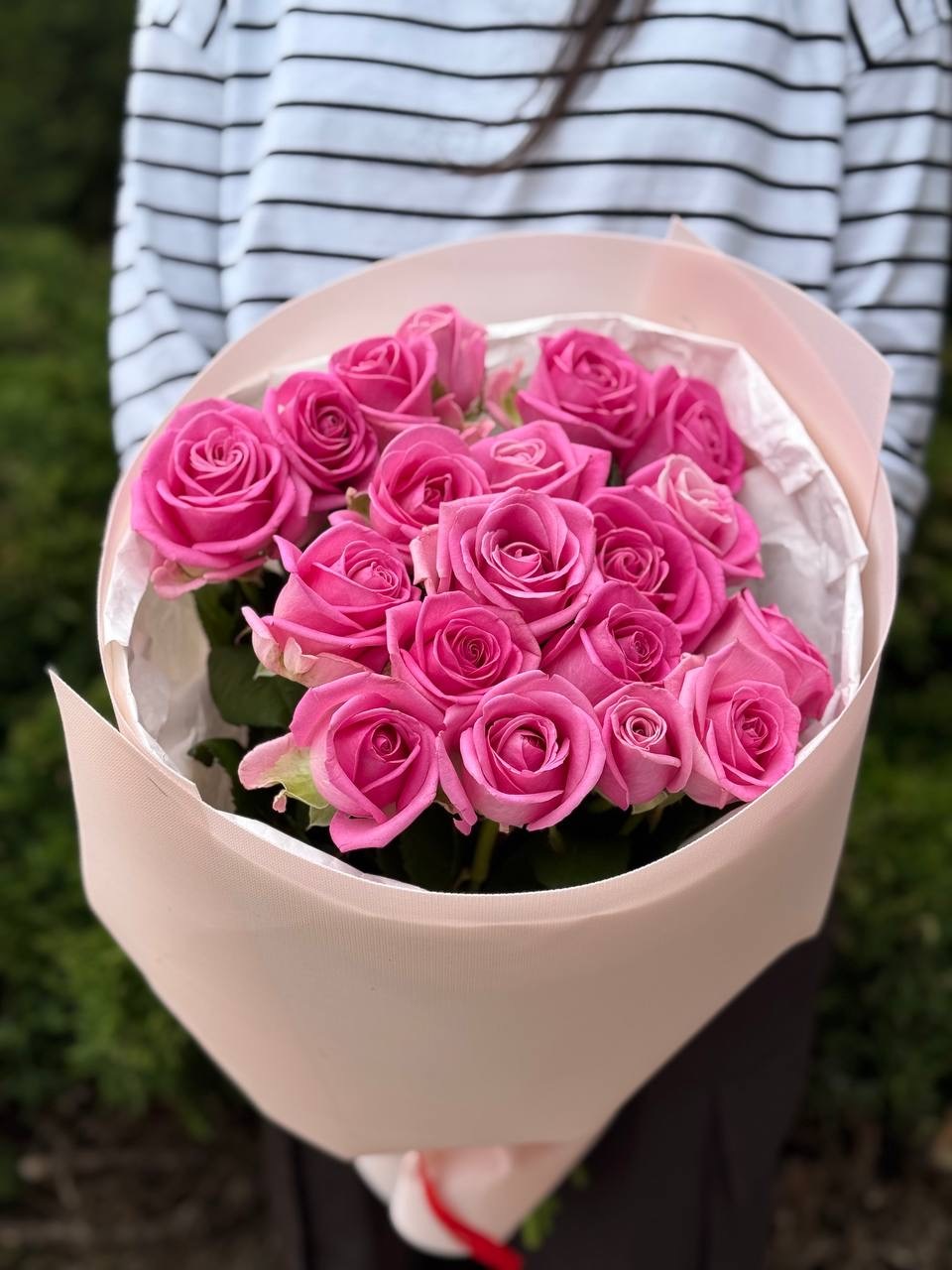 19 Roses Variety Aqua