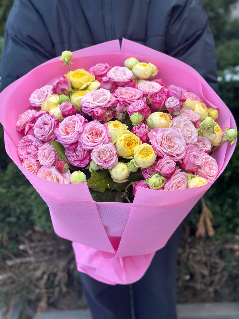39 Peony Roses Varieties Peony and Lady Bombastic