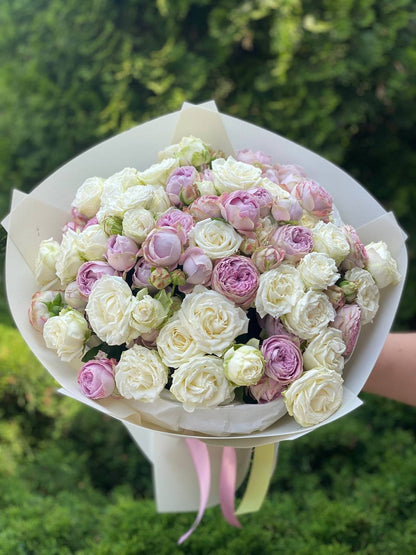 39 Roses Varieties Miss Bombastic and Lavender