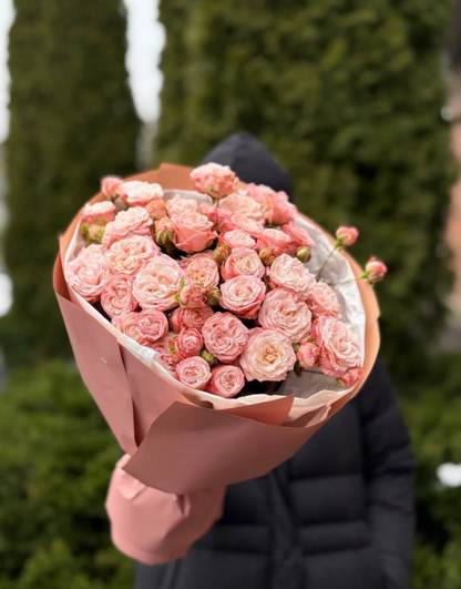 19 Spray Peony Roses Variety Madame Bombastic
