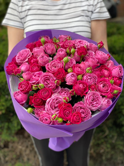 39 Peony Roses Varieties Lavender Lace and Majestic
