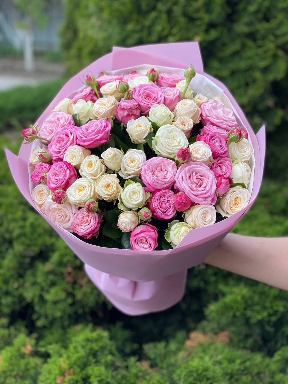 39 Roses Varieties Miss and Lady Bombastic