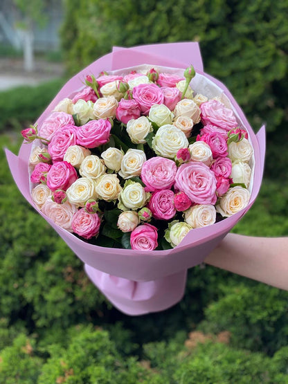 39 Roses Varieties Miss and Lady Bombastic