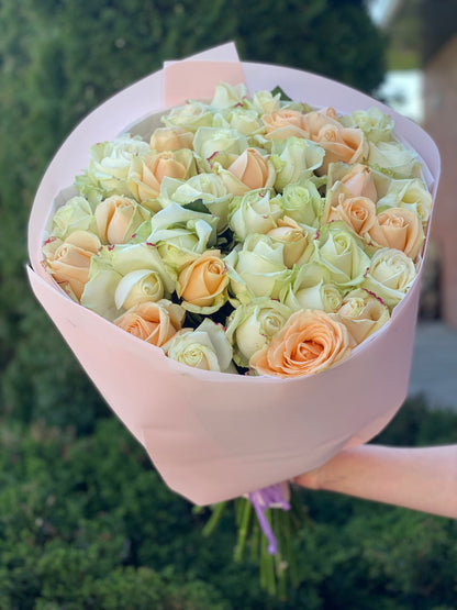 39 Roses Varieties Peach Avalanche and Avalanche