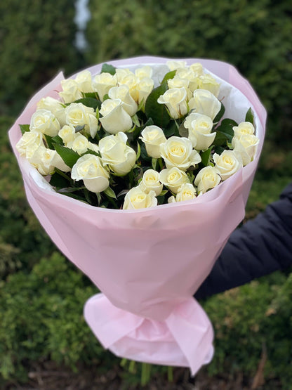 39 Roses Variety Beluga