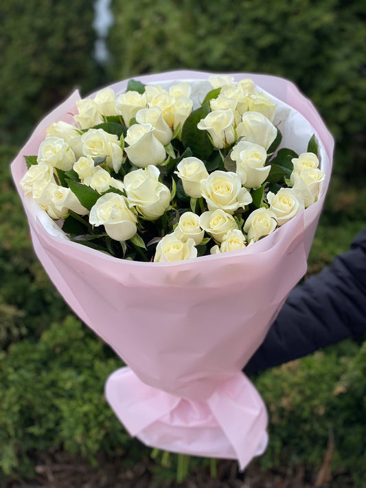 39 Roses Variety Beluga