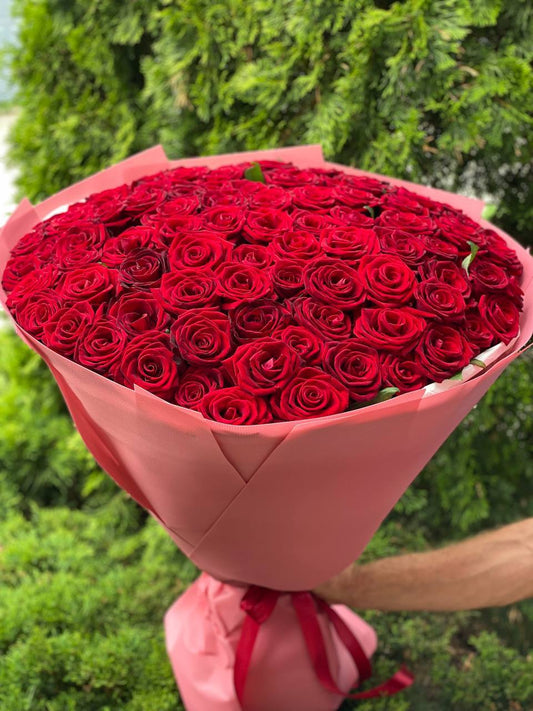 101 Roses of Red Eagle Variety