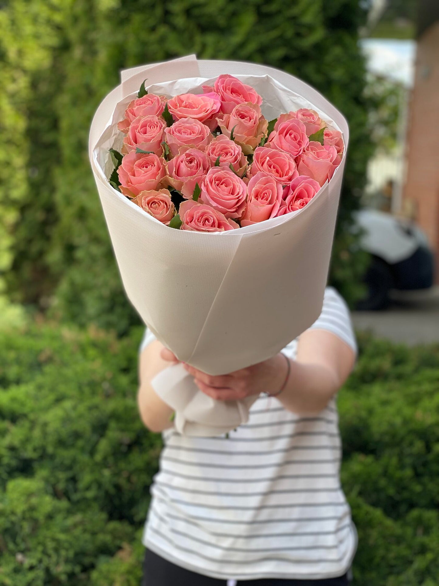 19 Roses Holland Variety Pink