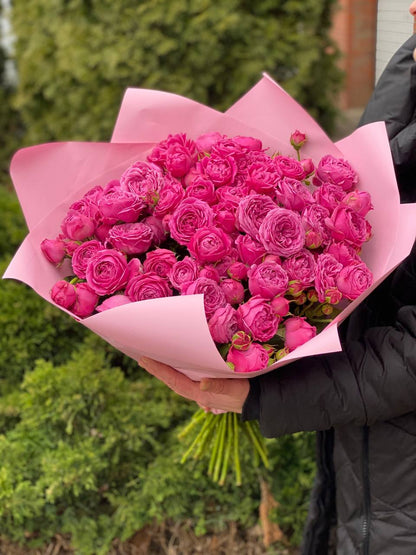 39 peony-shaped branch roses, Lavenderlace variety