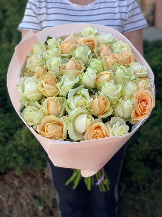 39 Roses Varieties Peach Avalanche and Avalanche