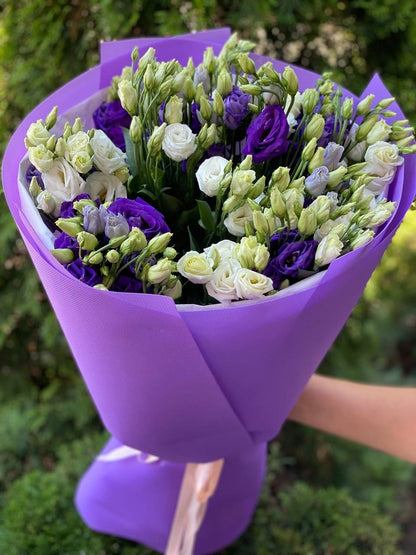 Eustoma 19 stems white and purple (70 cm)