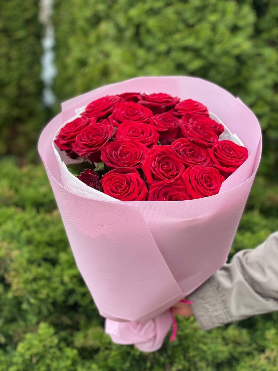 19 Roses Variety Grand Prix