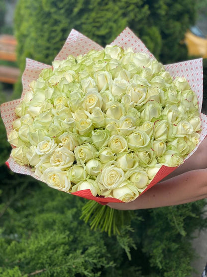 101 Roses Variety Avalanche
