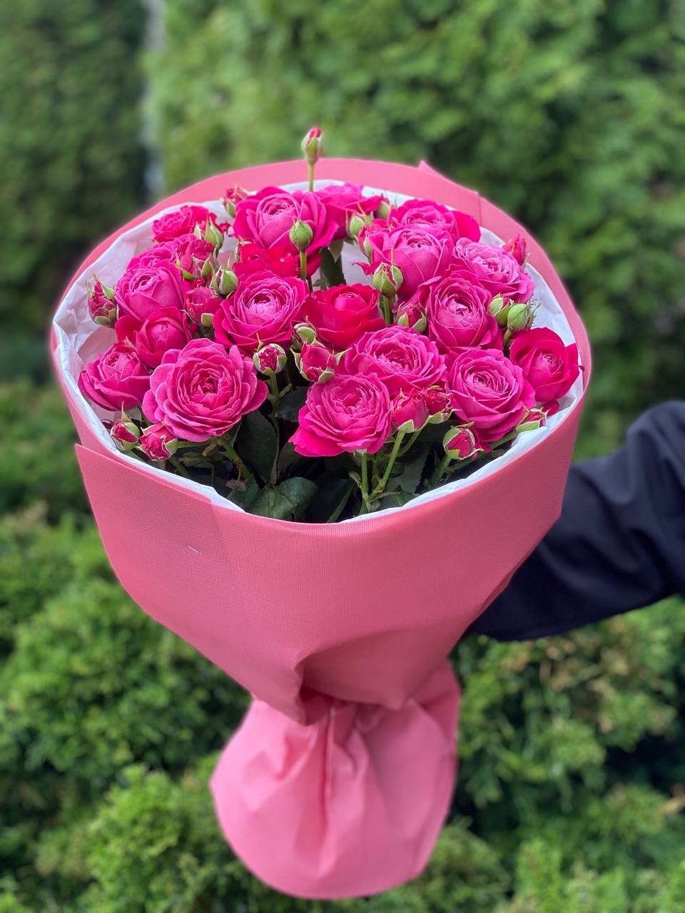 19 branchy peony roses, Majestic variety