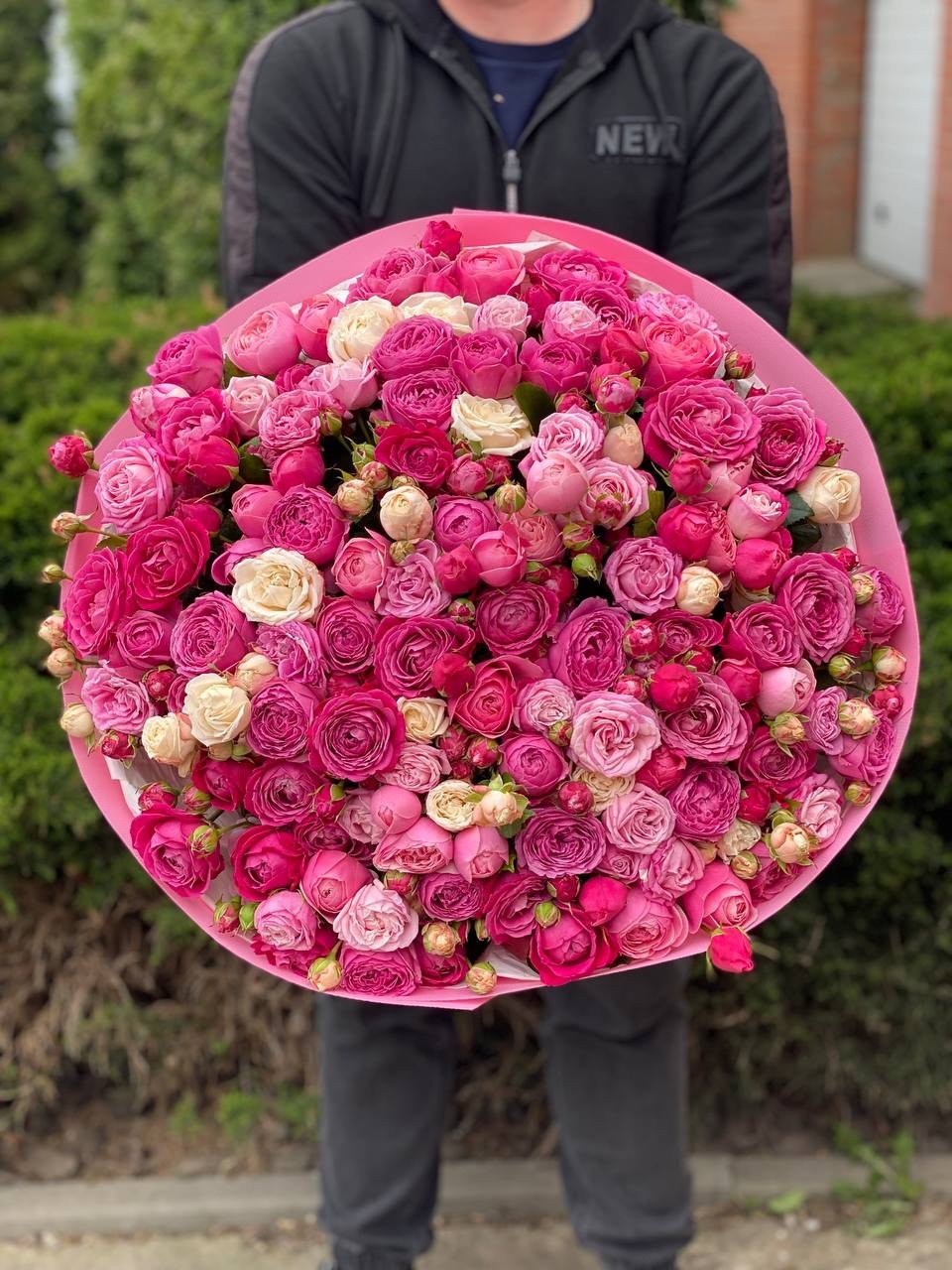 101 Peony Roses Variety Majestic, Bombastic and Lavender