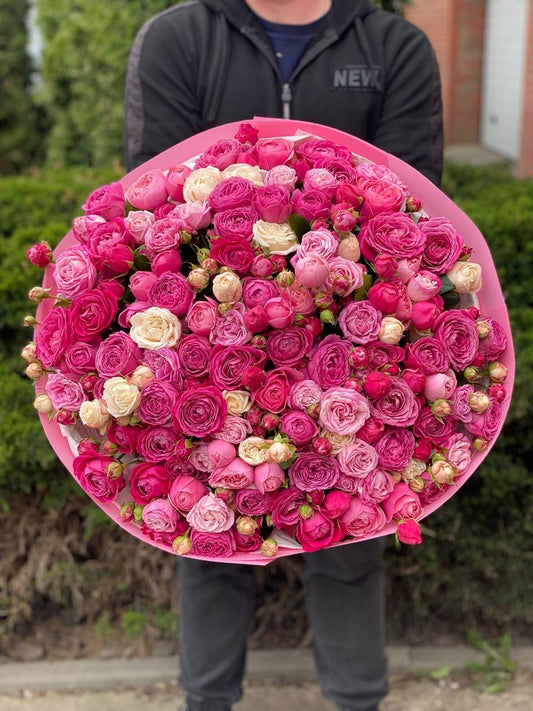 101 Peony Roses Variety Majestic, Bombastic and Lavender