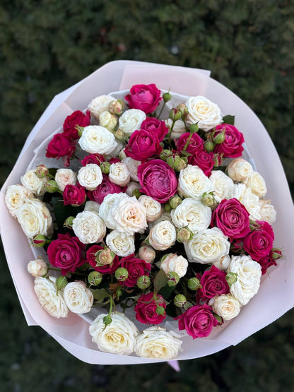39 Roses Varieties Bombastic and Majestic