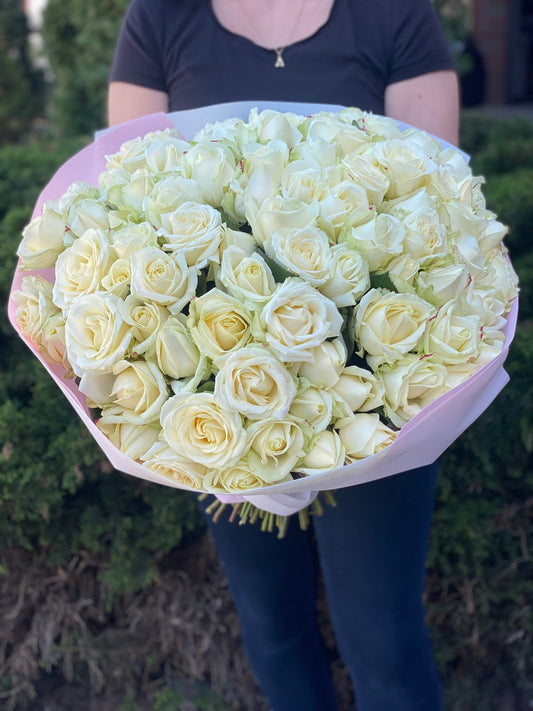 101 Roses Variety Avalanche