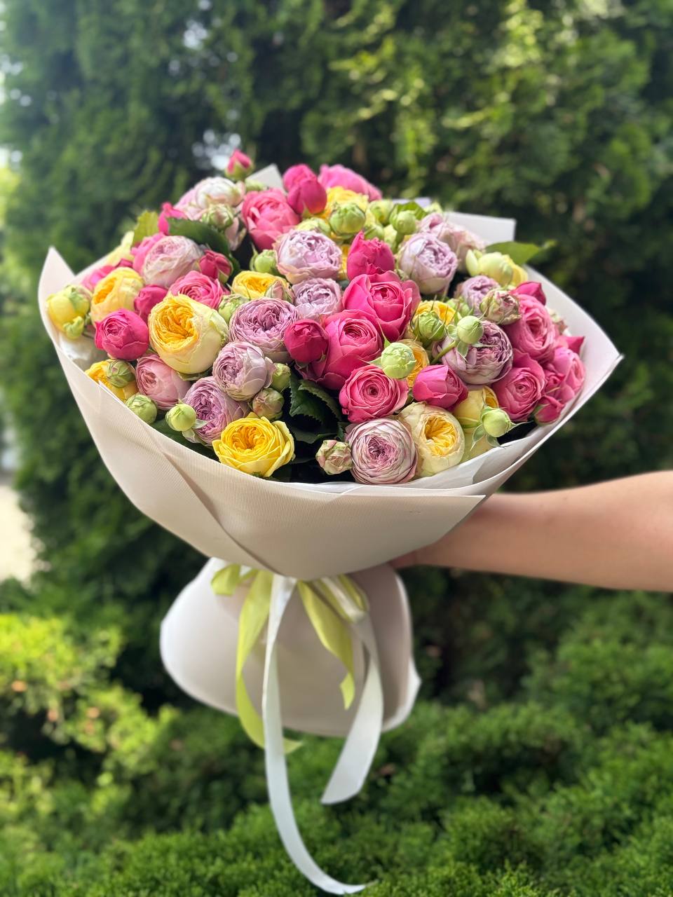 51 peony roses (Lavender, Light, Peonies)
