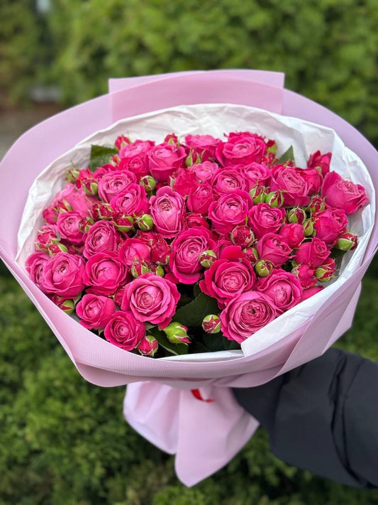 19 branchy peony roses, Majestic variety