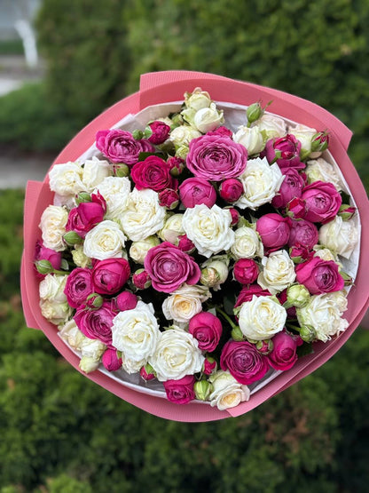 39 Roses Varieties Prince Bombastic and Majestic