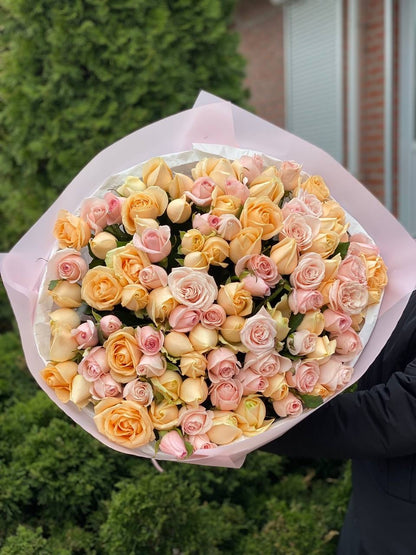 101 Roses of Peach Avalanche and Kimberley Varieties