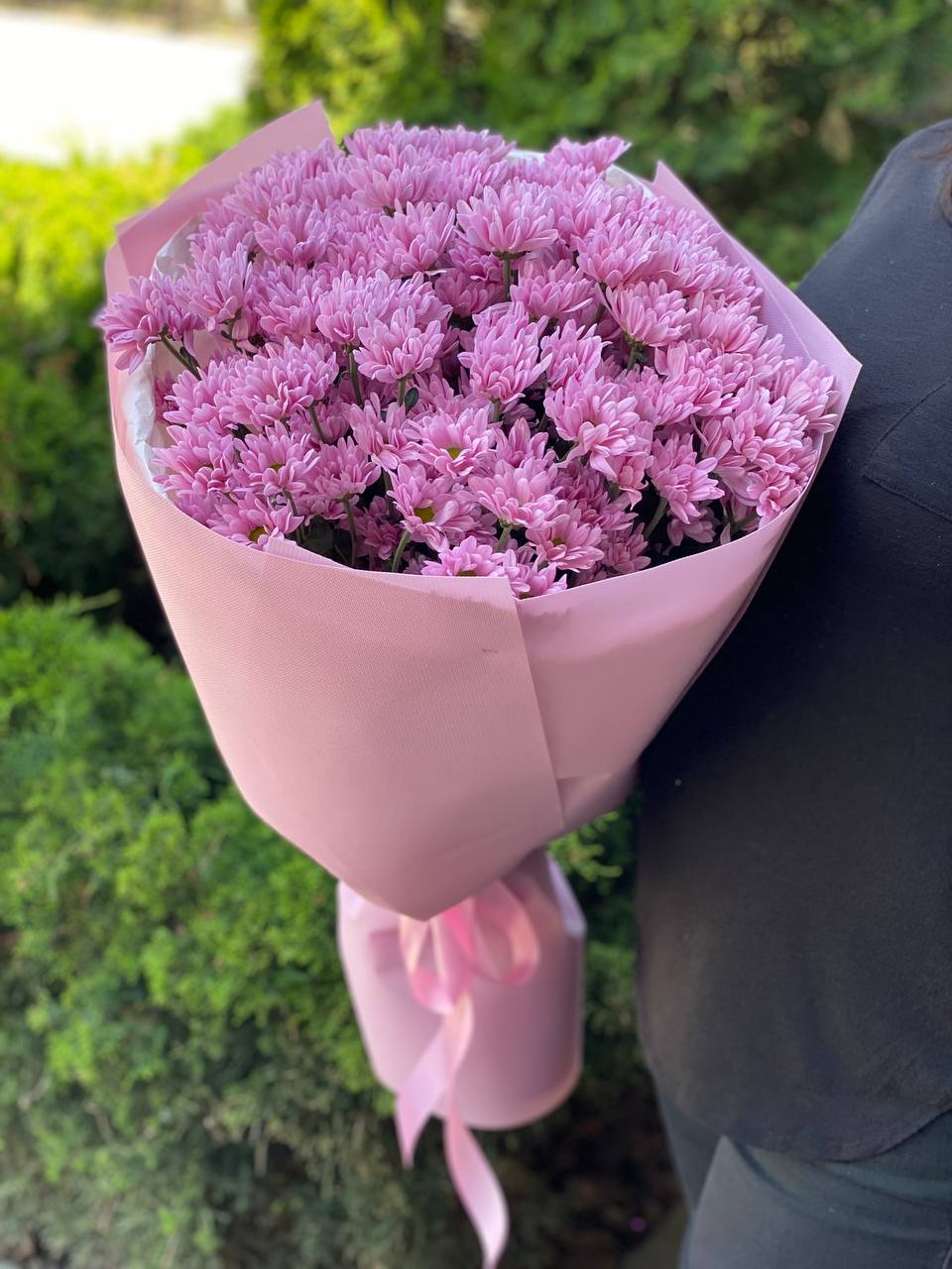 15 daisy-like chrysanthemums (color Purple)