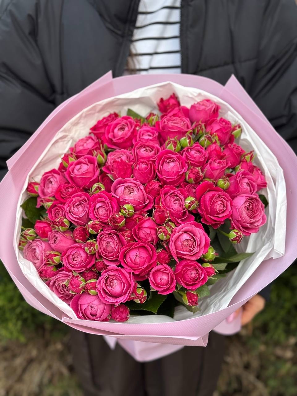 39 Peony Roses Variety Majestic