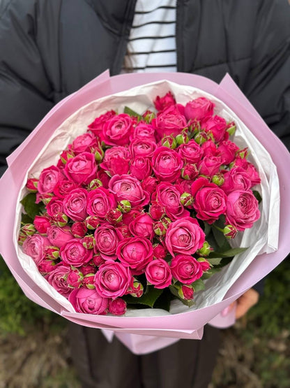 39 Peony Roses Variety Majestic