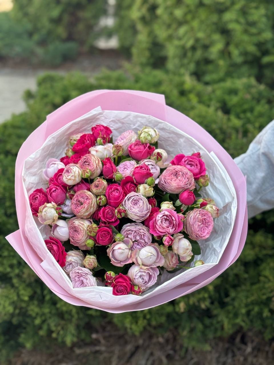 39 Roses Varieties Lavender and Majestic