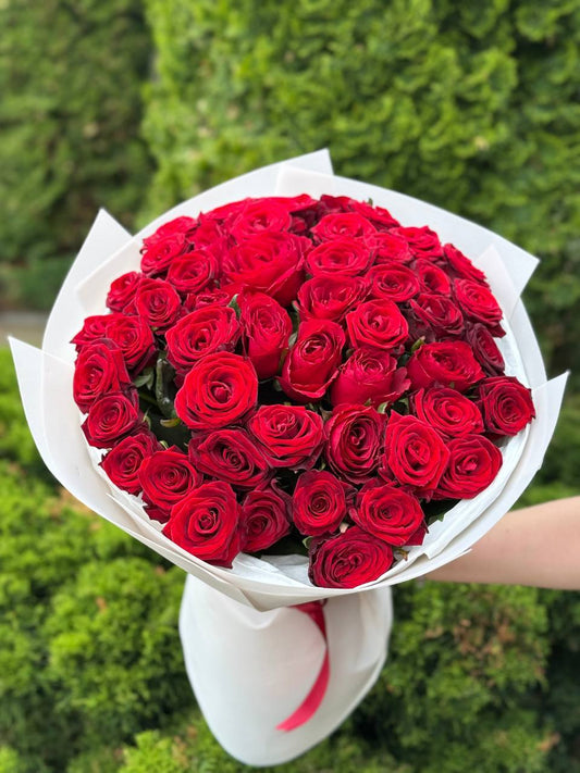 51 roses of the Red Naomi variety