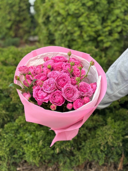 19 branchy peony roses, Lavenderlace variety