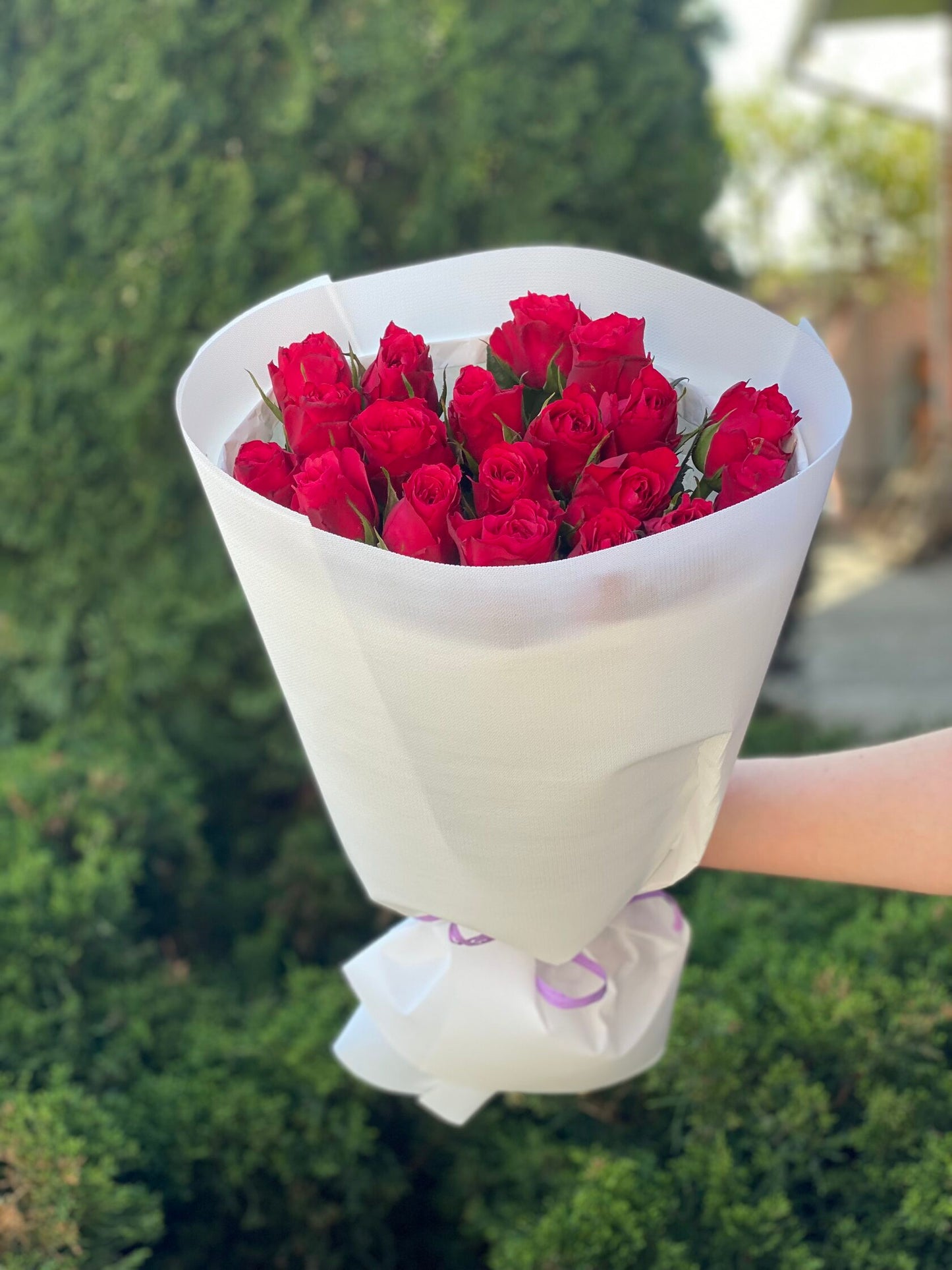 19 Roses Variety Prestige