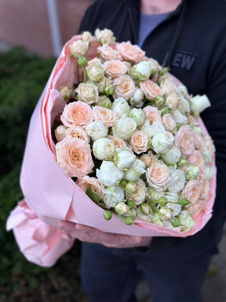 39 Roses Varieties Miss Bombastic and Bombastic